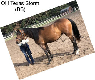 OH Texas Storm (BB)