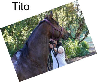 Tito