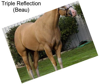 Triple Reflection (Beau)