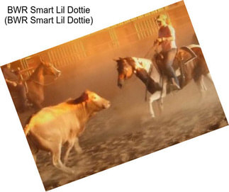 BWR Smart Lil Dottie (BWR Smart Lil Dottie)