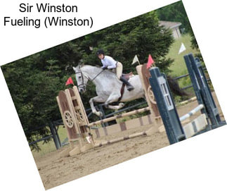 Sir Winston Fueling (Winston)