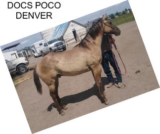 DOCS POCO DENVER