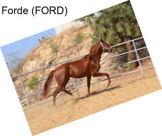 Forde (FORD)