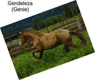 Gendeleza (Genie)