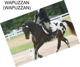 WAPUZZAN (WAPUZZAN)