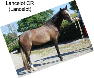 Lancelot CR (Lancelot)