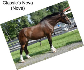 Classic\'s Nova (Nova)