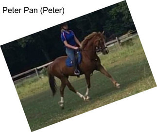 Peter Pan (Peter)