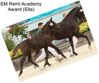 EM Remi Academy Award (Ella)