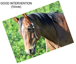 GOOD INTERVENTION (Vinnie)