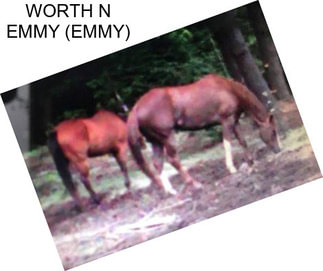 WORTH N EMMY (EMMY)