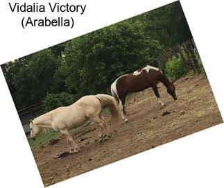 Vidalia Victory (Arabella)