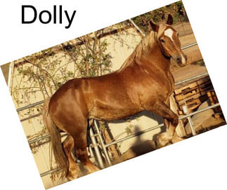 Dolly