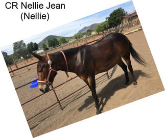 CR Nellie Jean (Nellie)