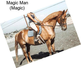 Magic Man (Magic)
