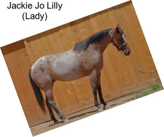 Jackie Jo Lilly (Lady)