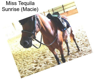 Miss Tequila Sunrise (Macie)