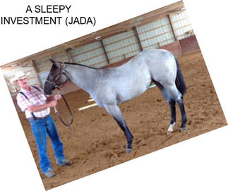 A SLEEPY INVESTMENT (JADA)