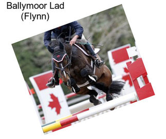 Ballymoor Lad (Flynn)