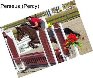 Perseus (Percy)