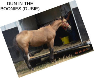 DUN IN THE BOONIES (DUBIE)