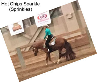 Hot Chips Sparkle (Sprinkles)