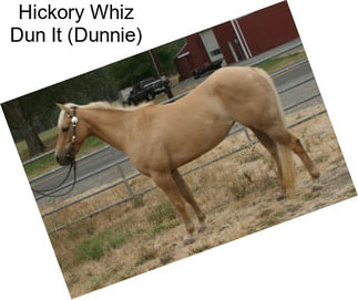 Hickory Whiz Dun It (Dunnie)