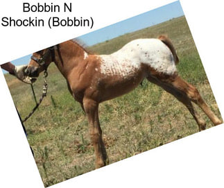 Bobbin N Shockin (Bobbin)