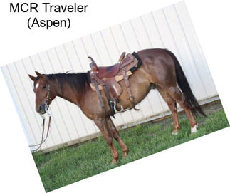 MCR Traveler (Aspen)