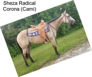 Sheza Radical Corona (Cami)