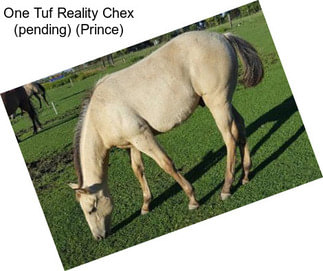 One Tuf Reality Chex (pending) (Prince)