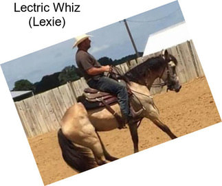 Lectric Whiz (Lexie)