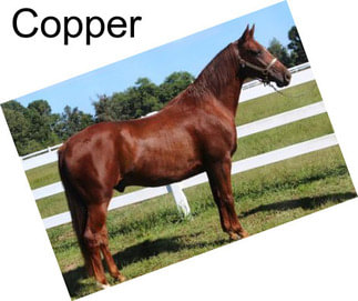 Copper