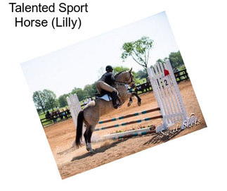 Talented Sport Horse (Lilly)