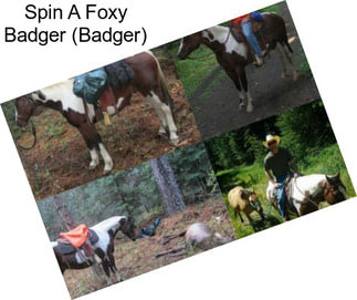 Spin A Foxy Badger (Badger)