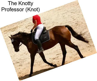 The Knotty Professor (Knot)