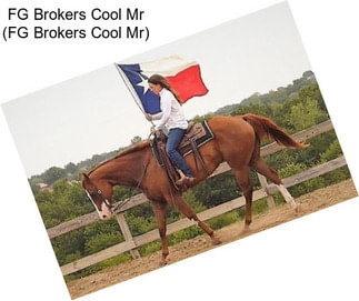 FG Brokers Cool Mr (FG Brokers Cool Mr)