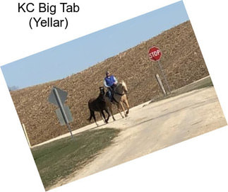 KC Big Tab (Yellar)