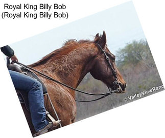 Royal King Billy Bob (Royal King Billy Bob)