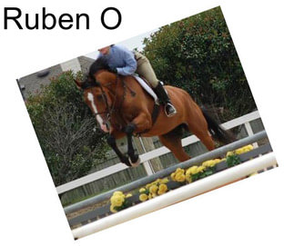 Ruben O