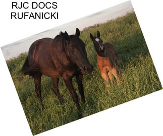 RJC DOCS RUFANICKI