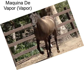 Maquina De Vapor (Vapor)