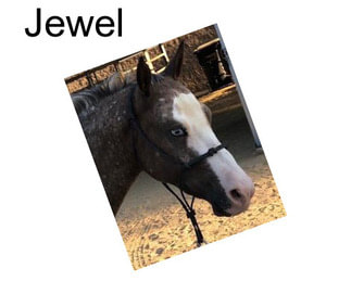 Jewel