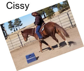 Cissy