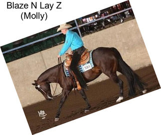 Blaze N Lay Z (Molly)