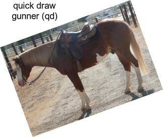 Quick draw gunner (qd)