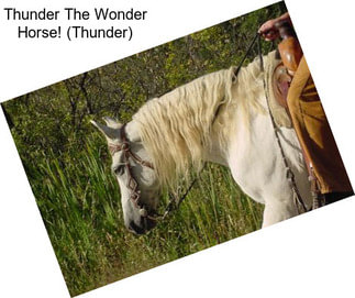 Thunder The Wonder Horse! (Thunder)