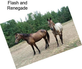 Flash and Renegade