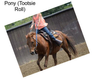 Pony (Tootsie Roll)