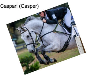 Caspari (Casper)